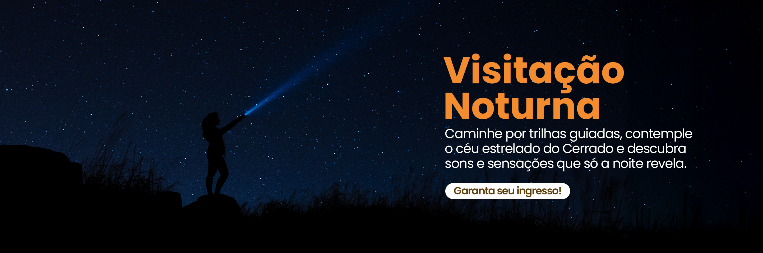 Visitação Noturna