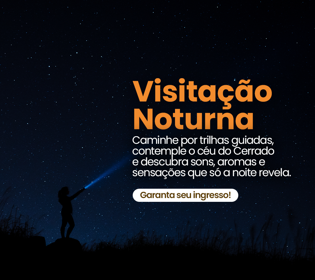 Visitação Noturna