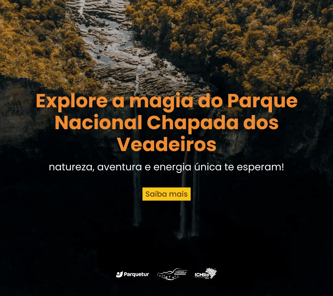 Novo banner – Saltos