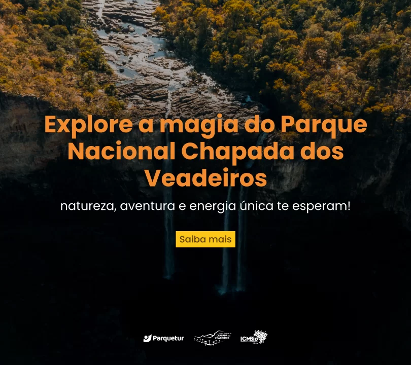 Novo banner – Saltos
